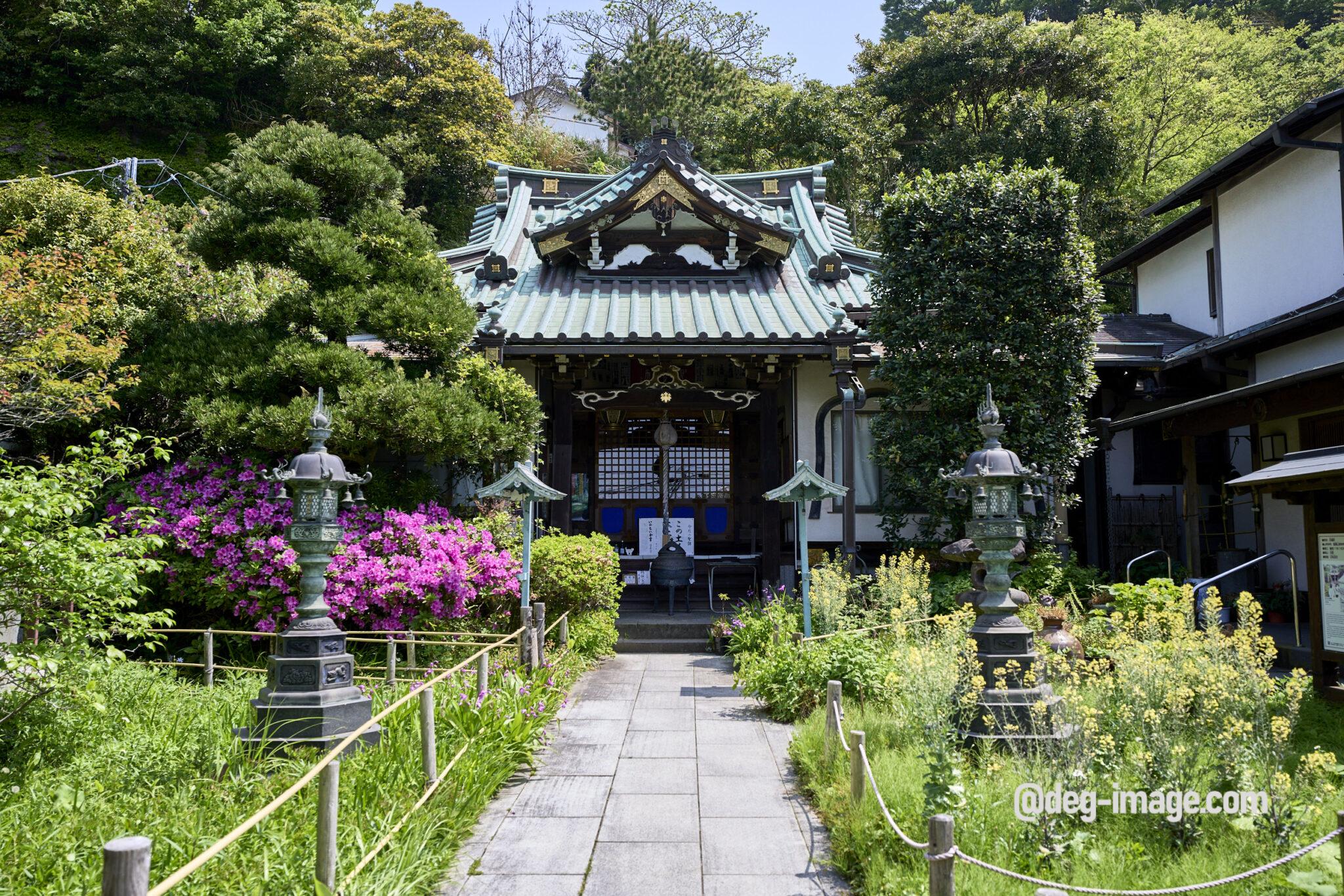 常栄寺(見どころ・アクセス) 桟敷の尼伝説のぼたもち寺 /鎌倉神社仏閣#014 | deg-image 鎌倉の記憶